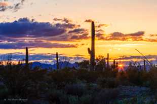 Sunset at Saguaro-6525.jpg